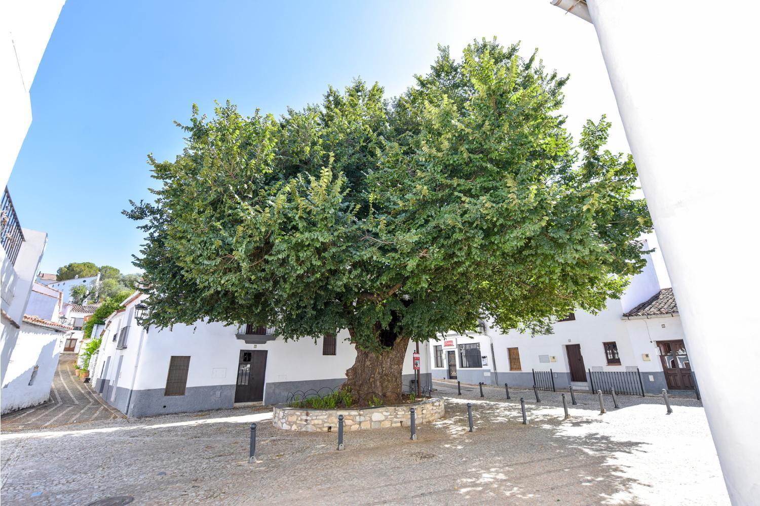 El Rincon De Marcelino Pensionat Cortelazor Exteriör bild